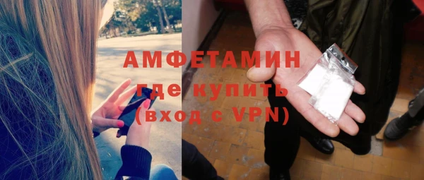 прущие грибы Бронницы