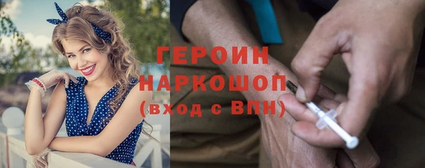 гидра Бородино