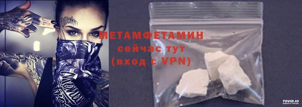 прущие грибы Бронницы