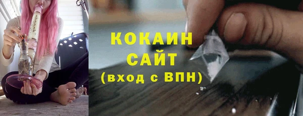 гидра Бородино