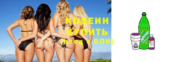 гидра Бородино
