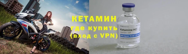 прущие грибы Бронницы