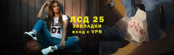 прущие грибы Бронницы