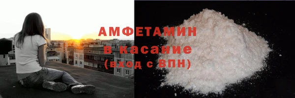 прущие грибы Бронницы
