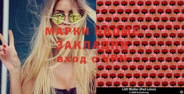 прущие грибы Бронницы