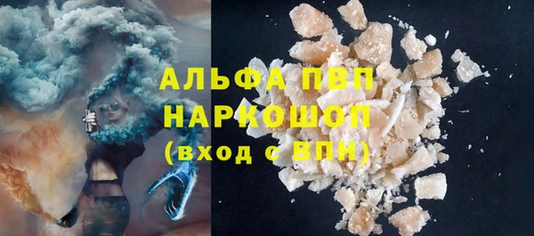 гидра Бородино