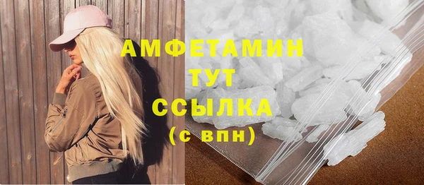 прущие грибы Бронницы