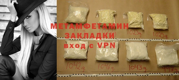 прущие грибы Бронницы