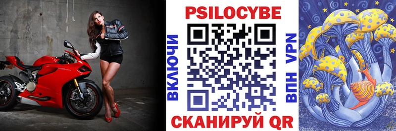 Галлюциногенные грибы GOLDEN TEACHER  ОМГ ОМГ зеркало  Норильск 